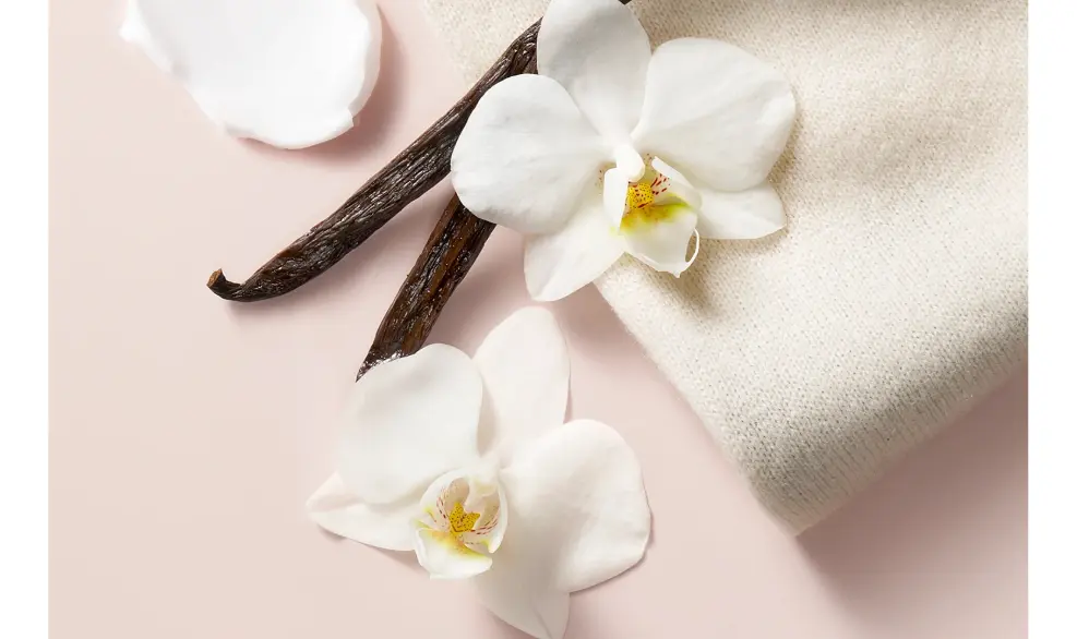 Victoria’s Secret Bare Vanilla Body Mist 250 ml – Vainilla y Cachemira — imagen 5