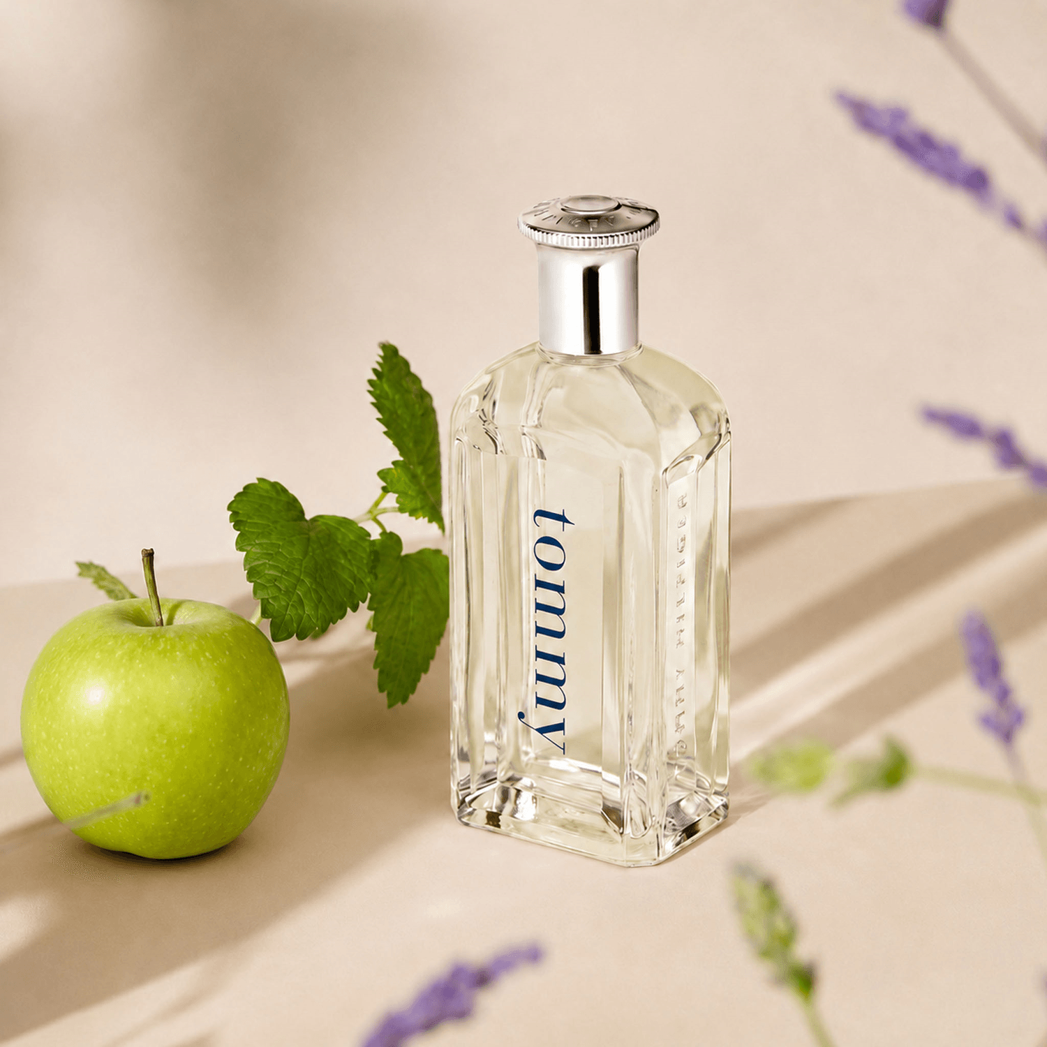 Perfume Tommy Hilfiger Tommy EDT Hombre 100ml — imagen 5