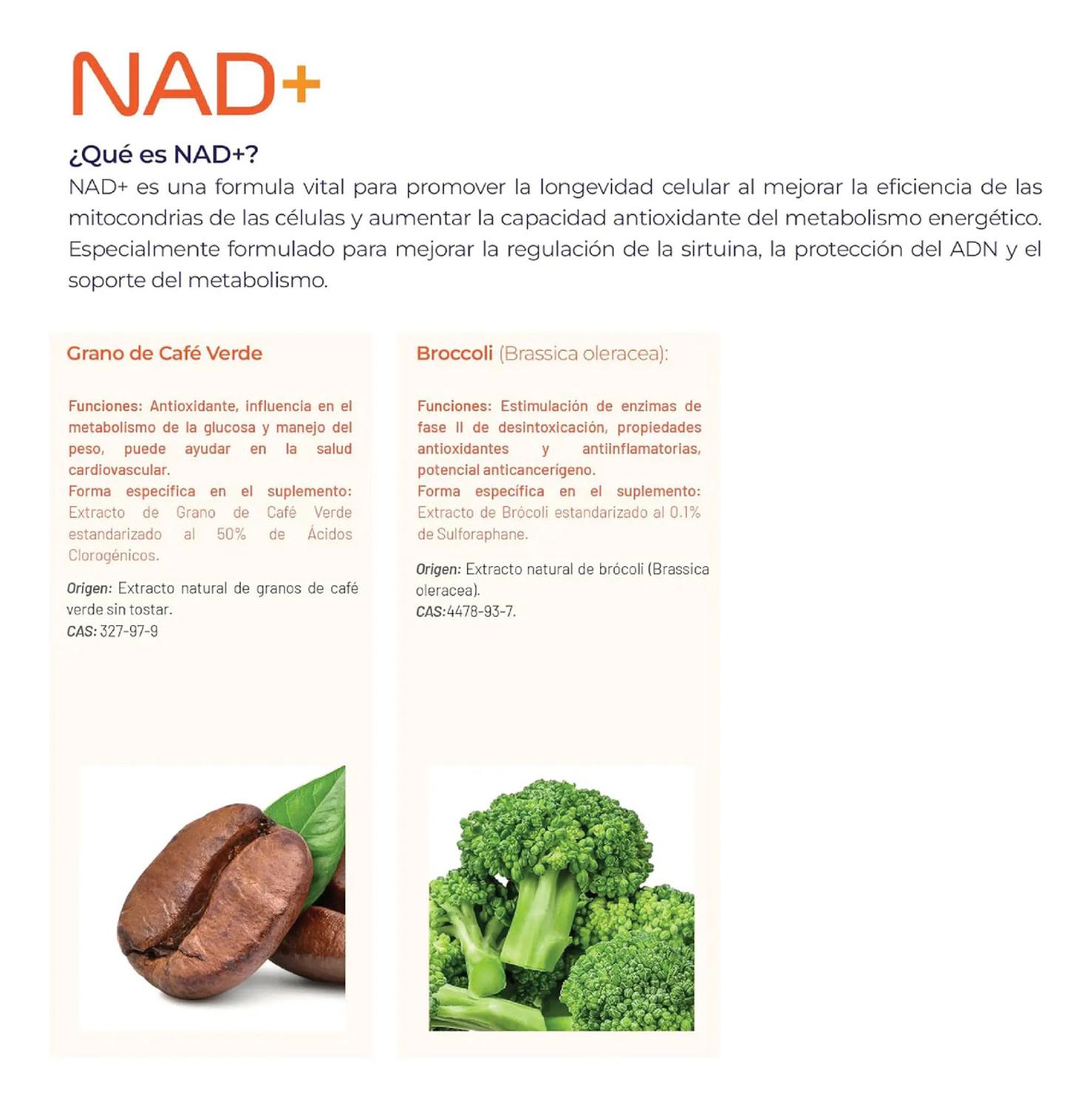 Essentials: NAD+ Puro con TMG y Ácido Alfa Lipoico, Trimetilglicina + NMN + NR, 200 Cápsulas — imagen 5