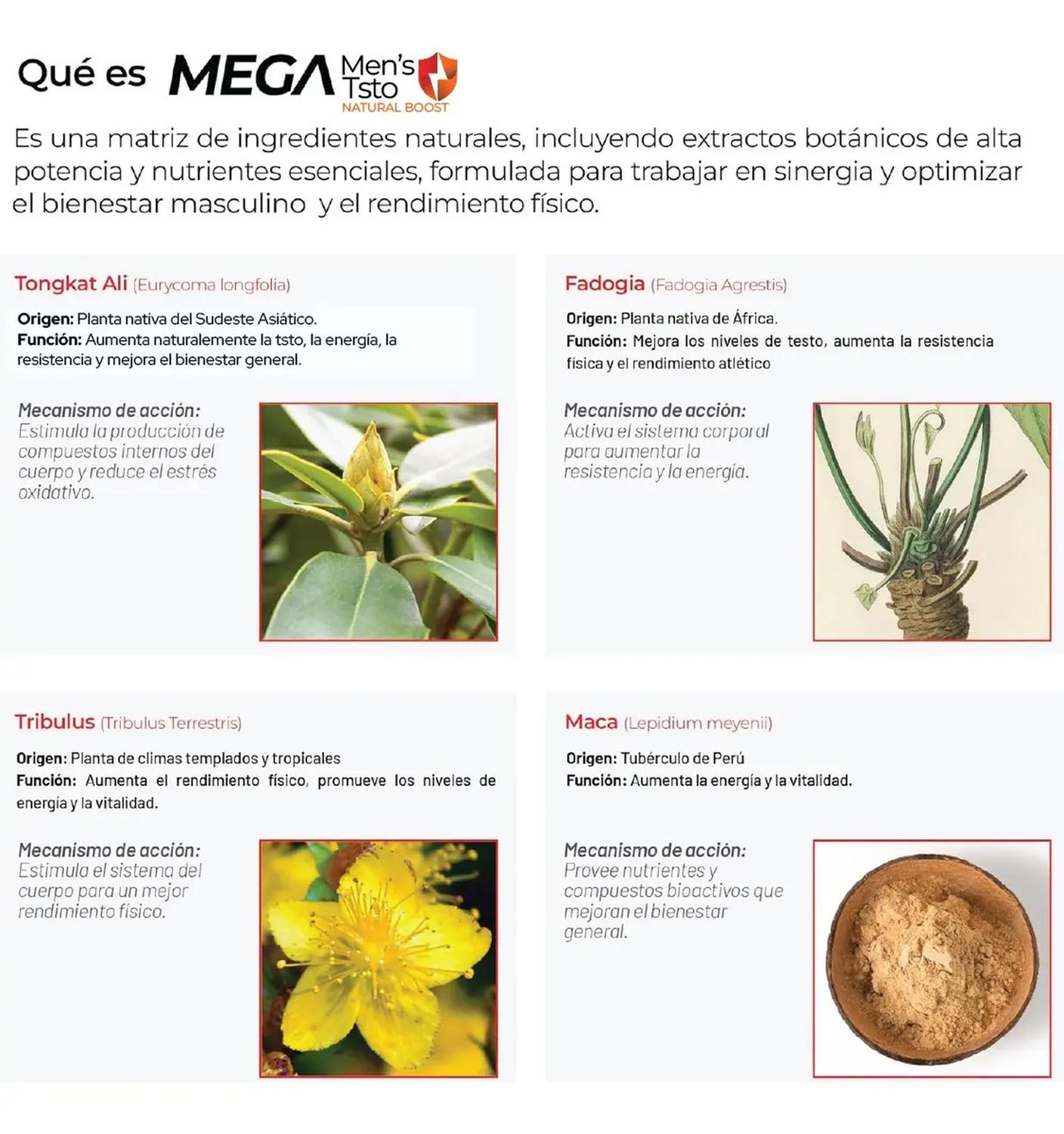 Mega Men's Testo: Tongkat Ali + Maca Negra + Creatina + Zinc + Fadogia, Fuerza+Energía, 100 Cápsulas — imagen 8