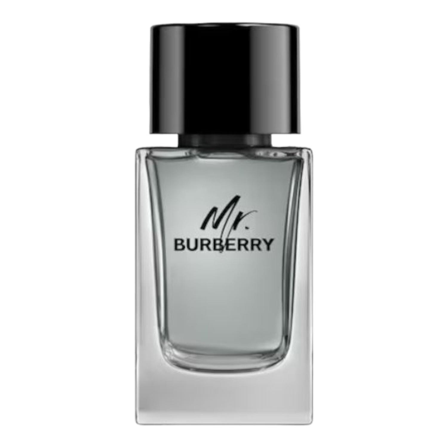 BURBERRY MR BURBERRY EDT 100 ML — imagen 1
