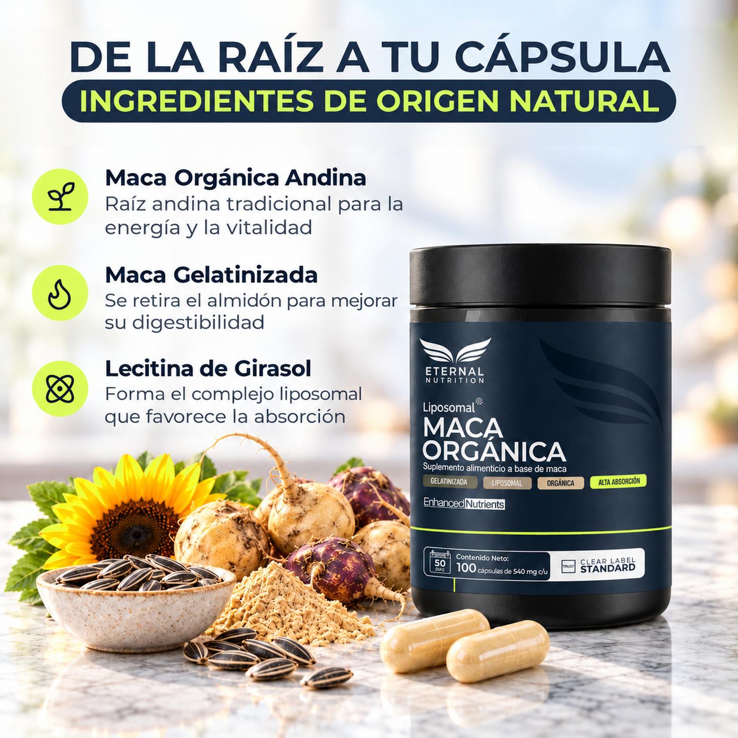 Maca Orgánica Liposomal Gelatinizada con Lecitina de Girasol, 1,080 mg por Porción, 100 Cápsulas — imagen 3