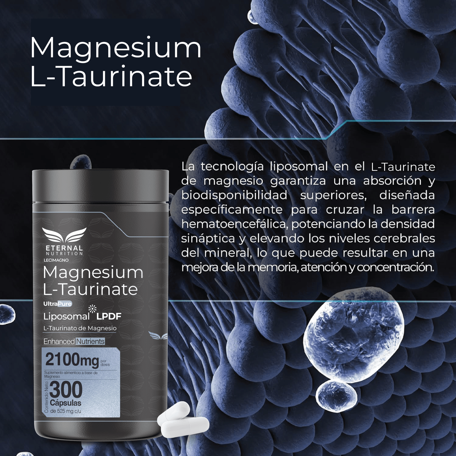 Ultra Pure: L-Taurinato de Magnesio Liposomal, Alta Biodisponibilidad, Claridad Mental, 300 Cápsulas — imagen 4