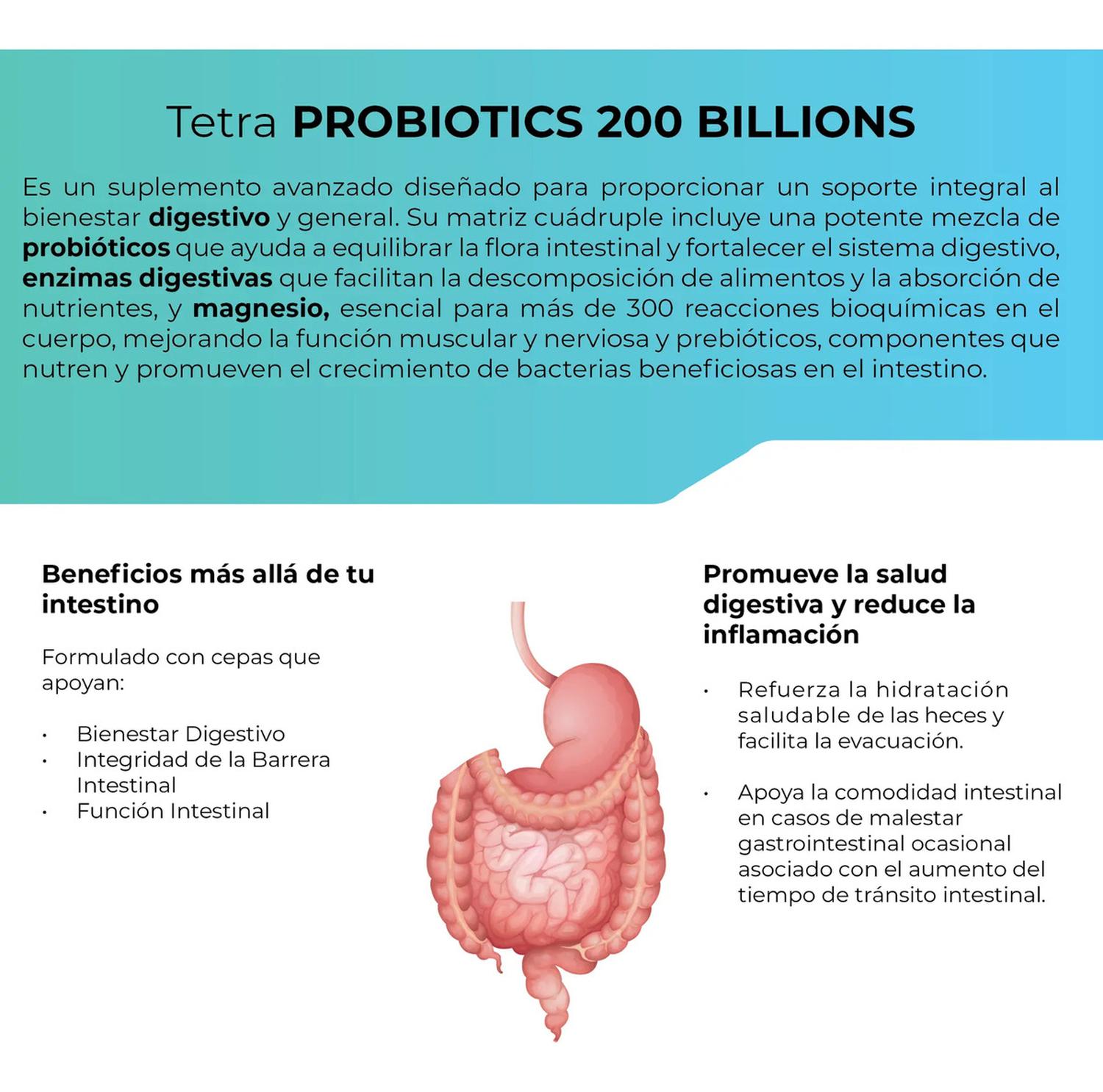 Tetra Probióticos 200 Billones UFC, Fibras Prebióticas + Enzimas Digestivas + Inulina, 200 Cápsulas — imagen 3