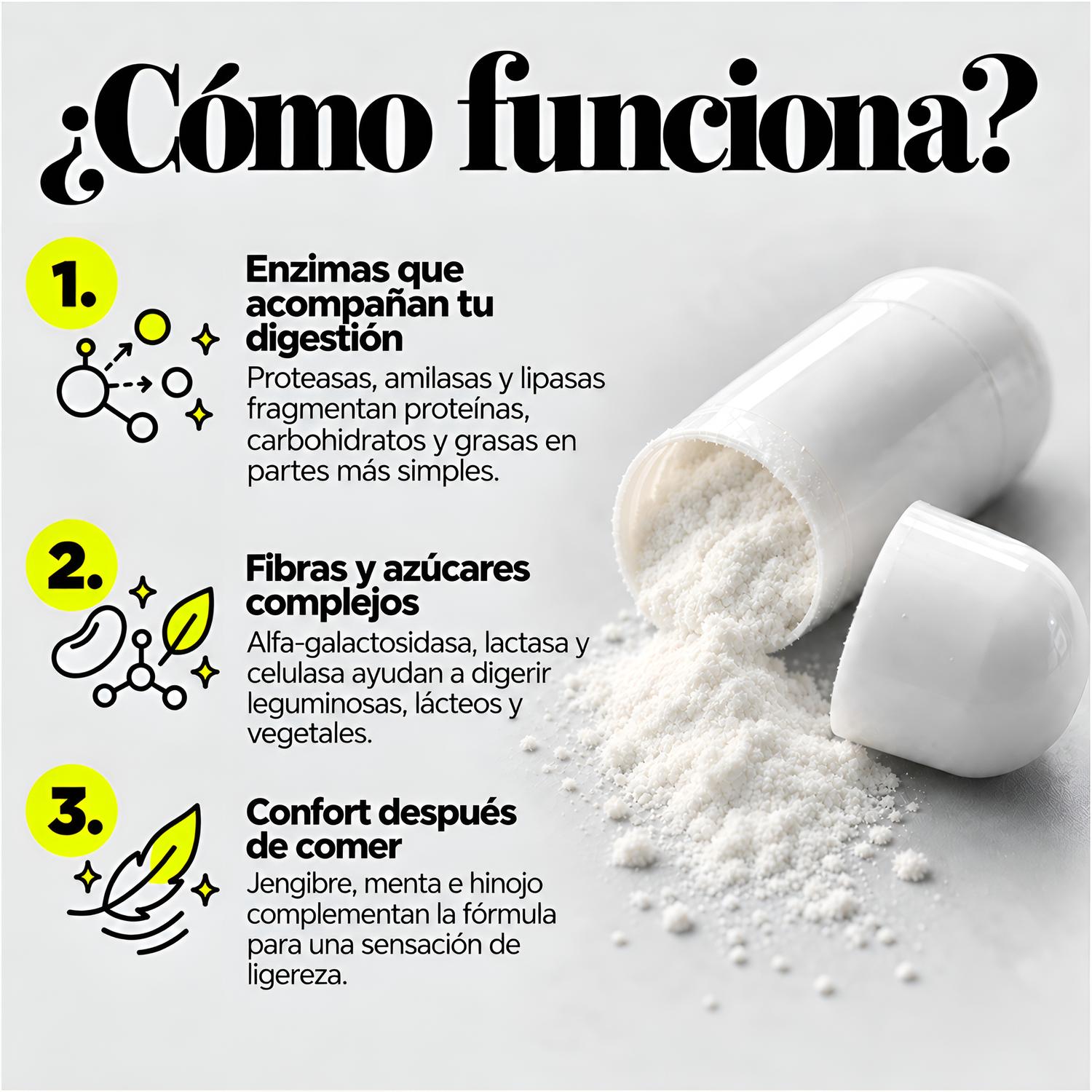Healthy Me: Desinflamante con 16 Enzimas Digestivas, Jengibre, Menta e Hinojo p/ Digestión, 60 Cáps. — imagen 3