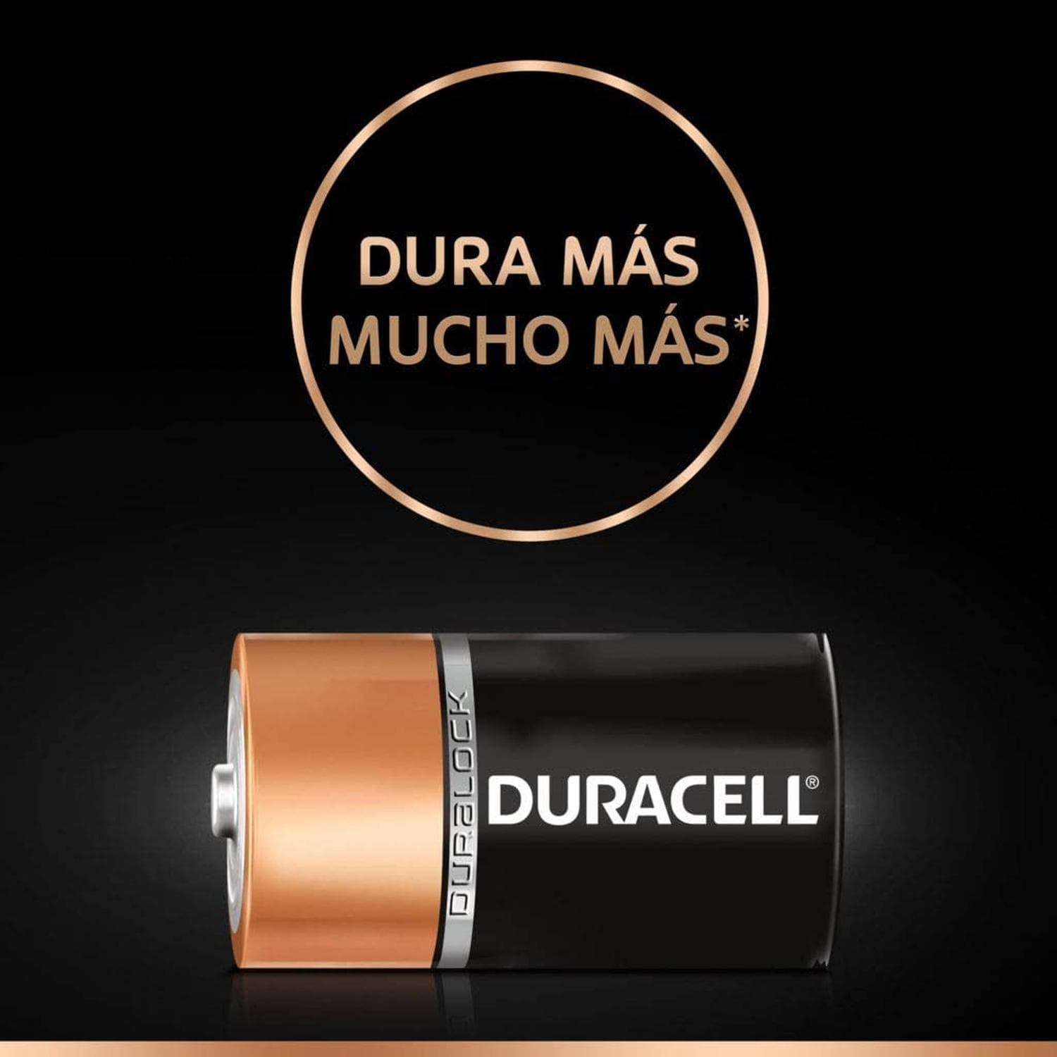 Pila Duracell Alcalina D Con 2 1.5v Mn1300b2 — imagen 2
