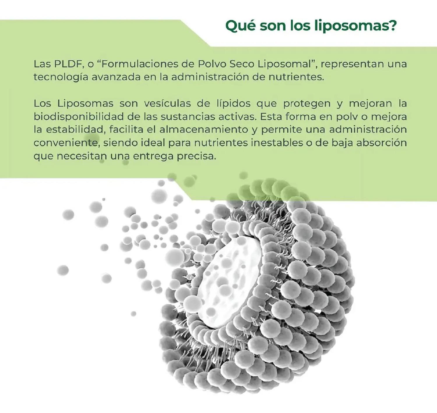 Infinity: Vitamina D3 + K2 Liposomal, K2 MK4+MK7 + D3 + MCT + Folato, para Salud Ósea, 150 Cápsulas — imagen 2
