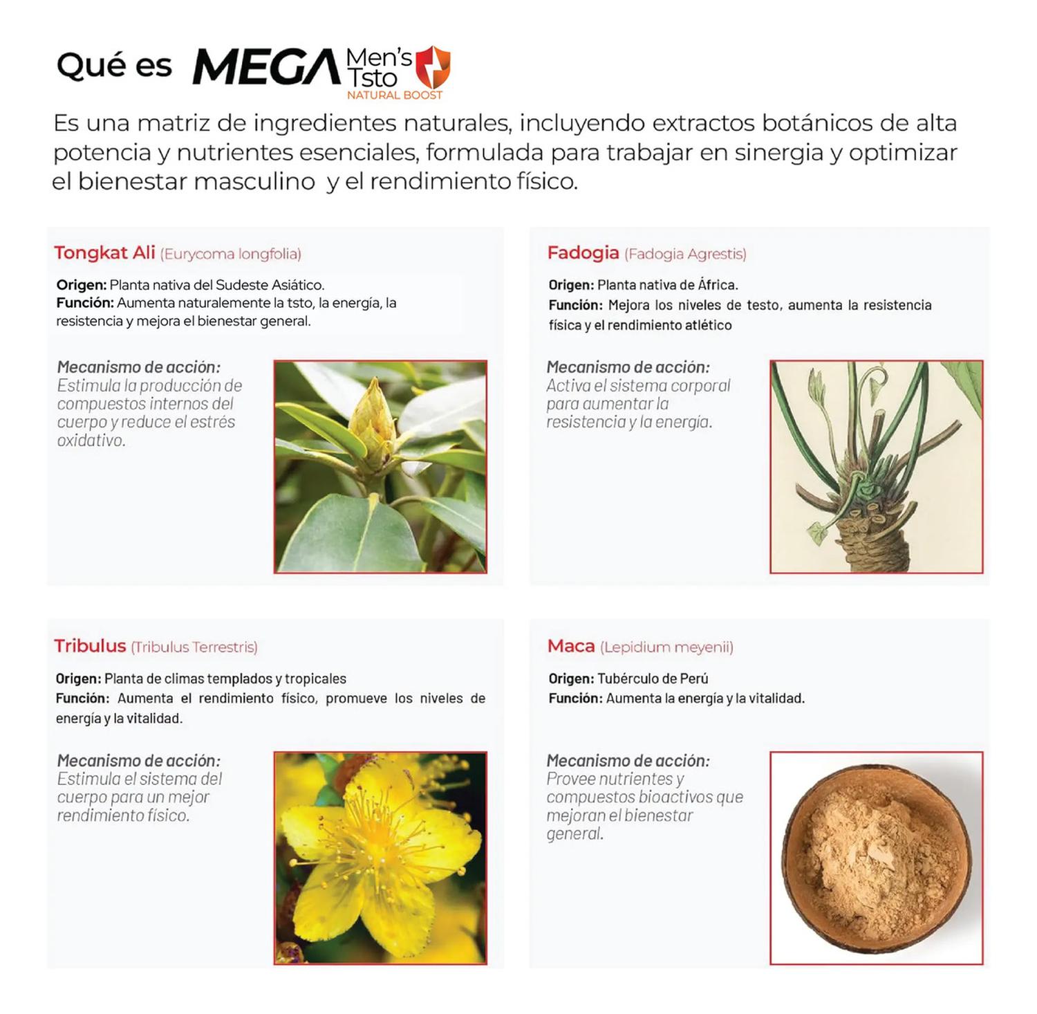 Mega Men's Testo: Tongkat Ali + Maca Negra + Creatina + Zinc + Fadogia, Fuerza+Energía, 200 Cápsulas — imagen 8