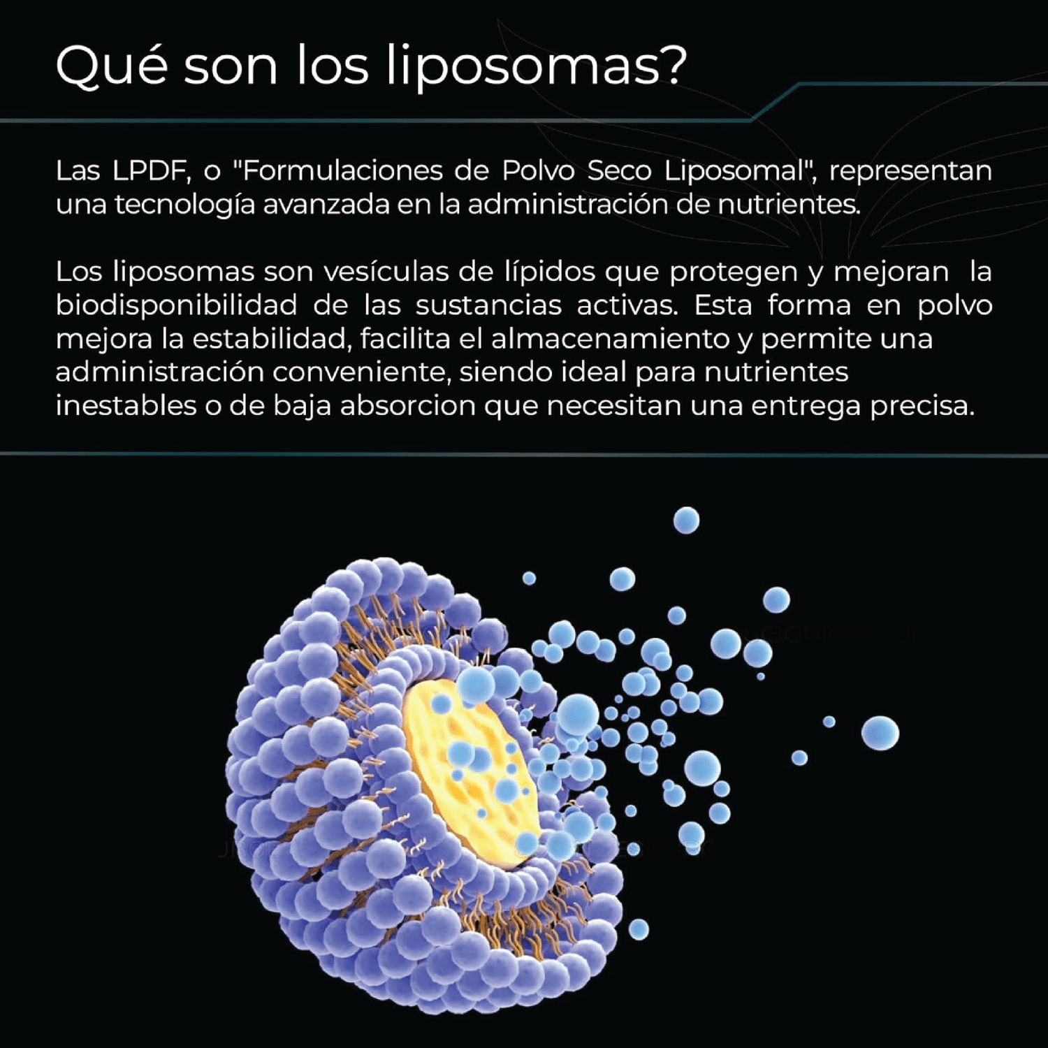 Ultra Pure: L-Taurinato de Magnesio Liposomal, Alta Biodisponibilidad, Claridad Mental, 150 Cápsulas — imagen 3