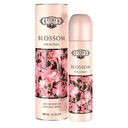 CUBA BLOSSOM 100 ML