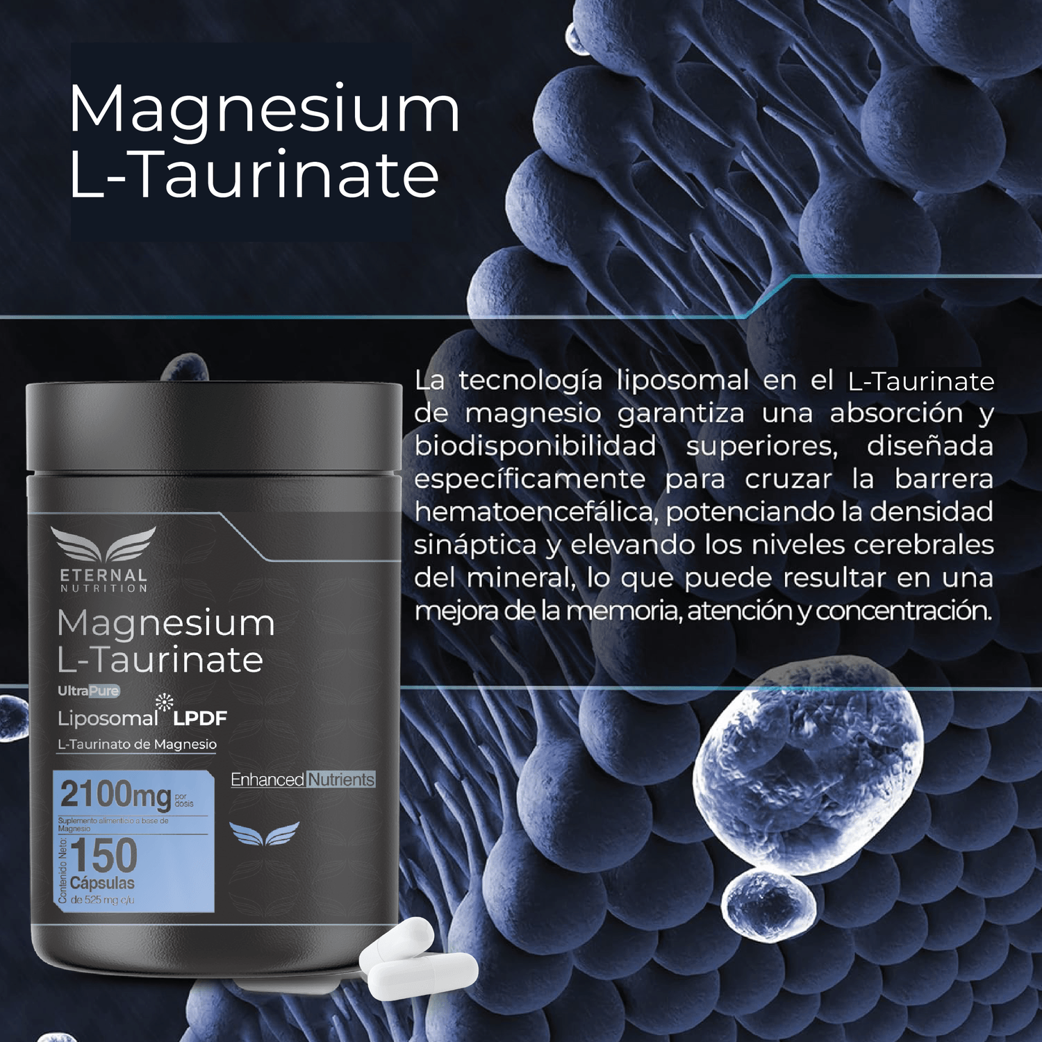 Ultra Pure: L-Taurinato de Magnesio Liposomal, Alta Biodisponibilidad, Claridad Mental, 150 Cápsulas — imagen 4