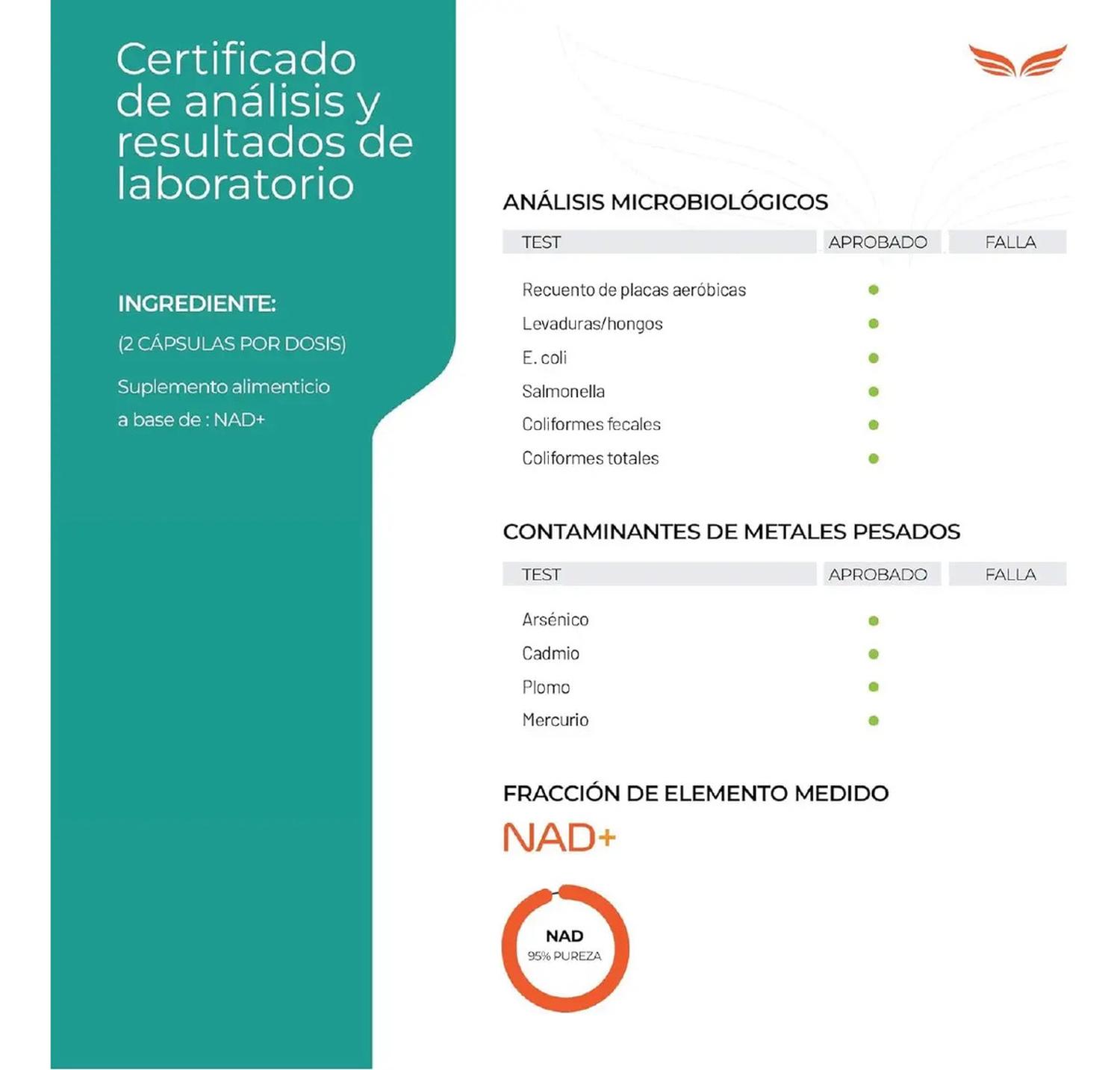 Essentials: NAD+ Puro con TMG y Ácido Alfa Lipoico, Trimetilglicina + NMN + NR, 100 Cápsulas — imagen 6