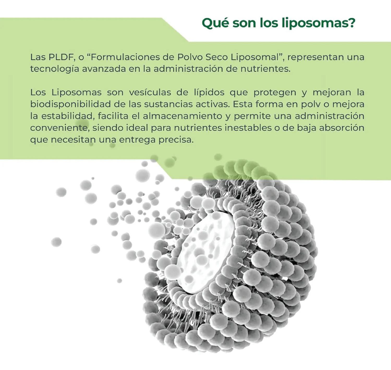 Infinity: Vitamina D3 + K2 Liposomal, K2 MK4+MK7 + D3 + MCT + Folato, para Salud Ósea, 300 Cápsulas — imagen 2