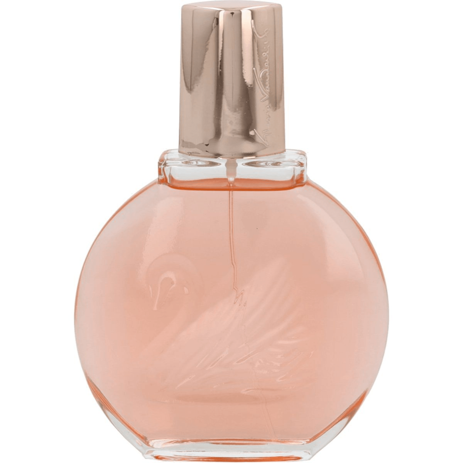 GLORIA VANDERVILT MISS VANDERVILT EDT 100 ML DAMA — imagen 1