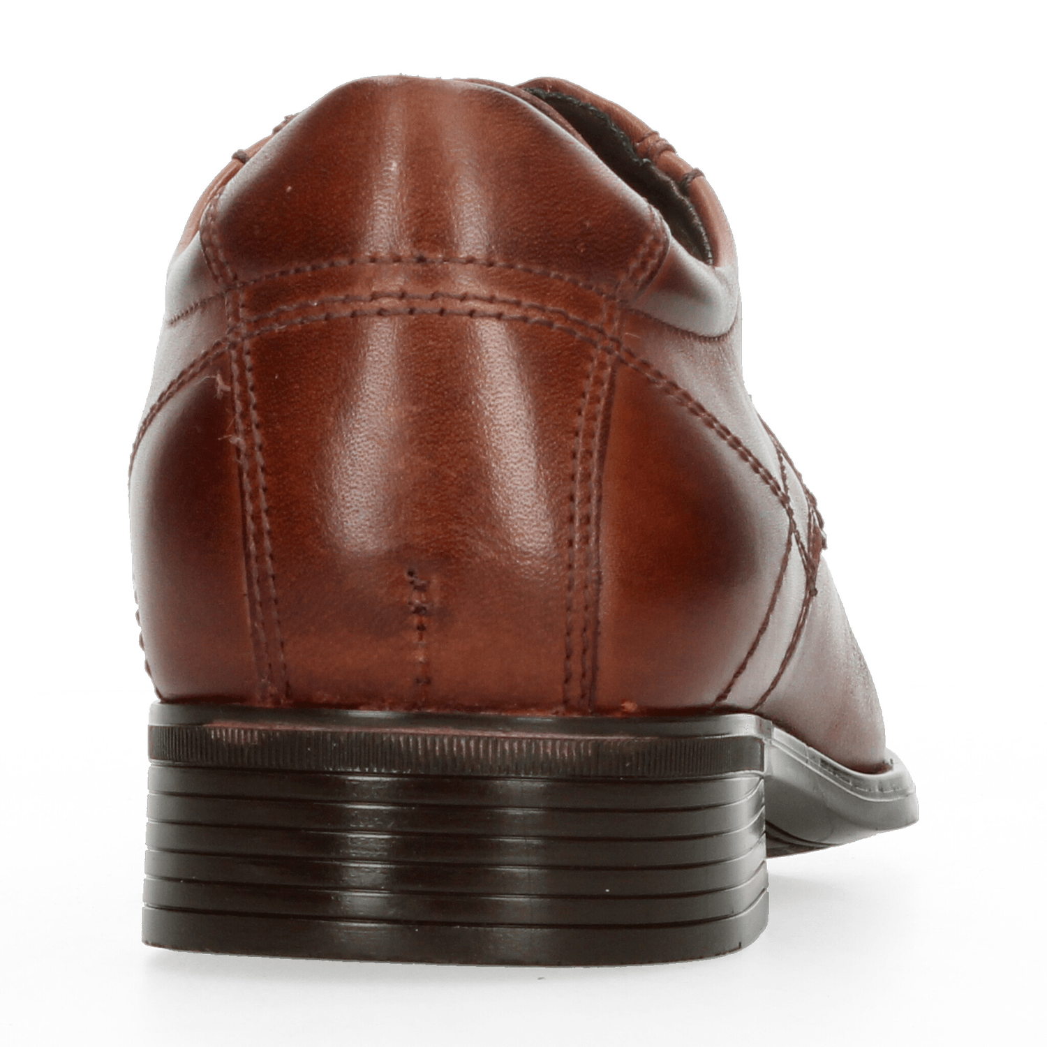 Zapato Hombre Gino cherruti Café Vestir Caballero — imagen 8